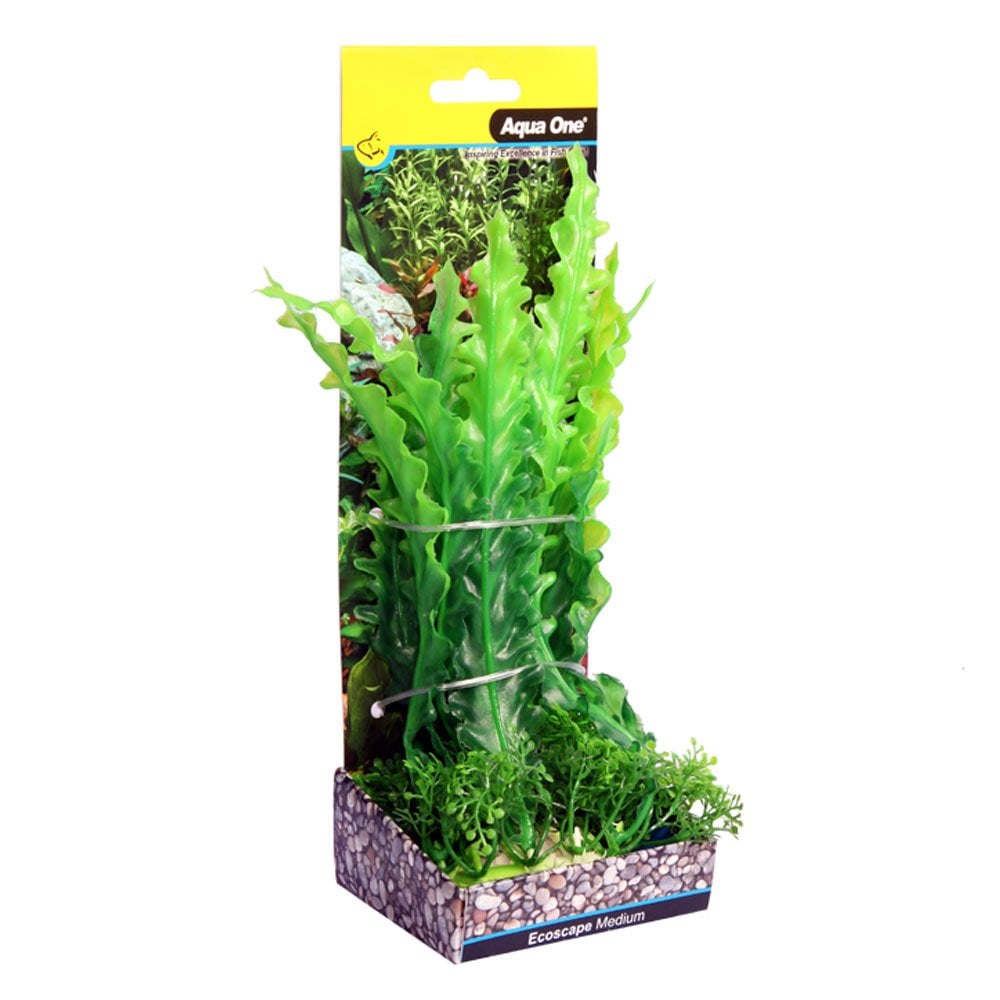 Aqua One Ecoscape Green Ruffled Lace Plant 20cm
