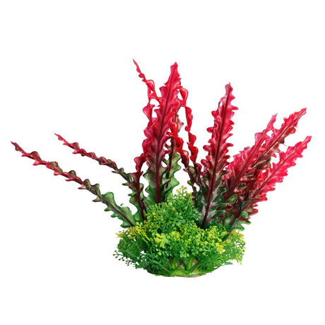 Aqua One Ecoscape Red Ruffled Lace Plant 20cm