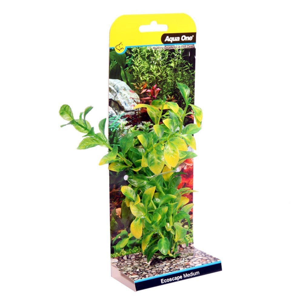 Aqua One Ecoscape Green Hygro 20cm