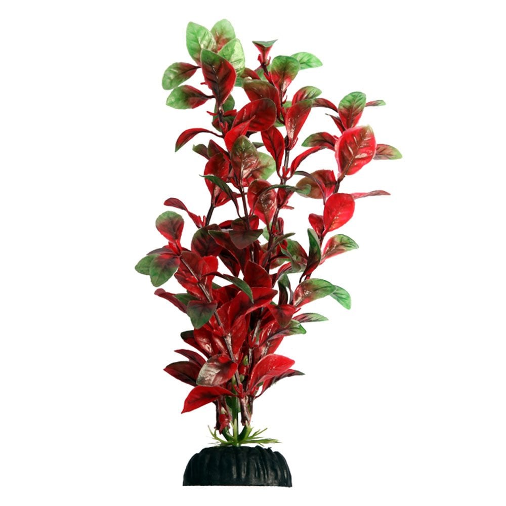 Aqua One Ecoscape Red Hygro 20cm