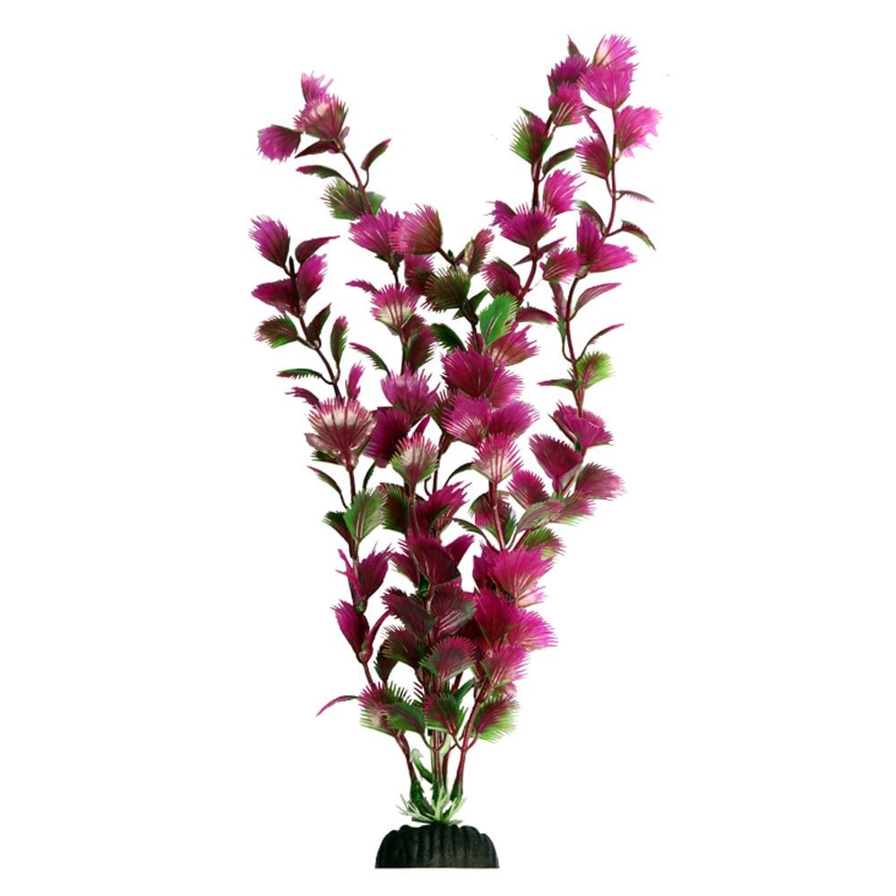 Aqua One Ecoscape Pink Fan Palm 40cm