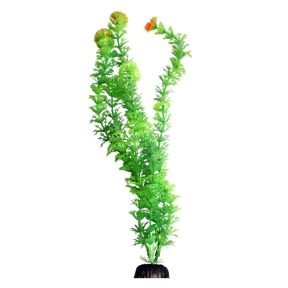 Aqua One Ecoscape Green Ambulia 40cm