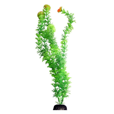 Aqua One Ecoscape Green Ambulia 40cm