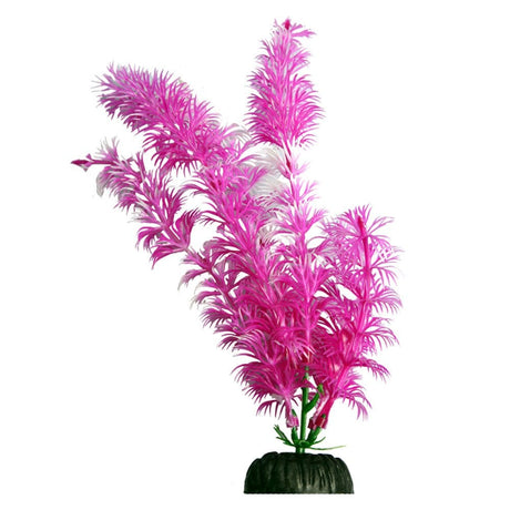 Aqua One Brightscape Pink Ambulia 20cm