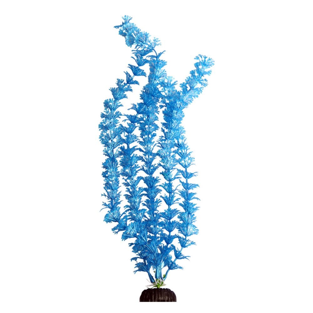 Aqua One Ecoscape Blue Ambulia 40cm