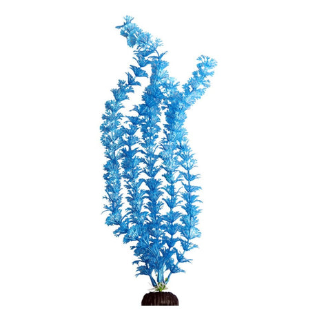 Aqua One Ecoscape Blue Ambulia 40cm