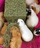 Rosewood I Love Hay Cube Large