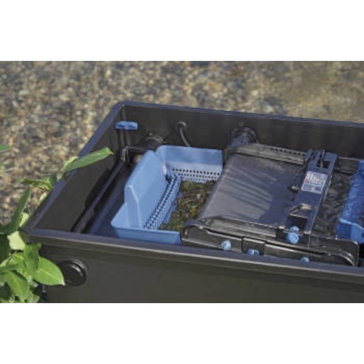 https://c889979.ssl.cf3.rackcdn.com/watergarden/uploads/prod_img/2_6593_s.jpg