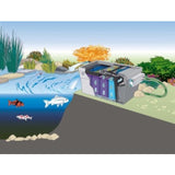 https://c889979.ssl.cf3.rackcdn.com/watergarden/uploads/prod_img/2_6600_s.jpg