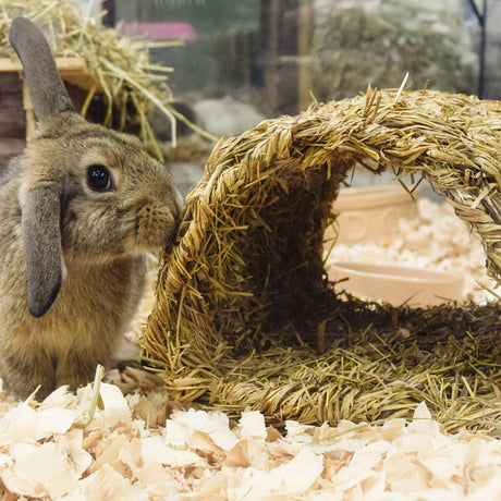 Happy Pet Grassy Tunnel