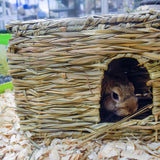 Happy Pet Small Animal Grassy Hideaway