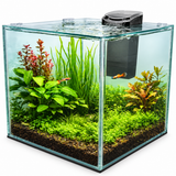 Interpet Scape Kit