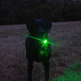 Ancol Rechargaeble Blinker Green