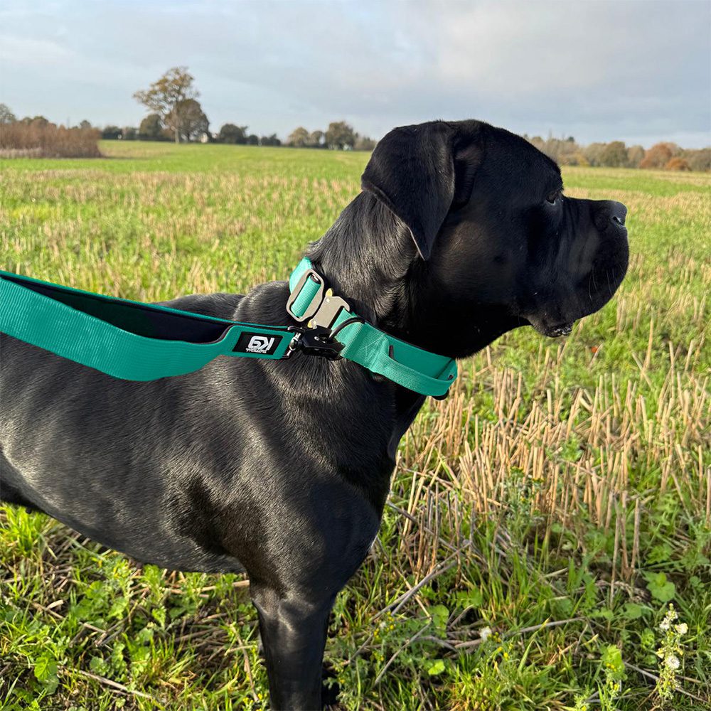 Tactical K9 Endurance Dog Lead