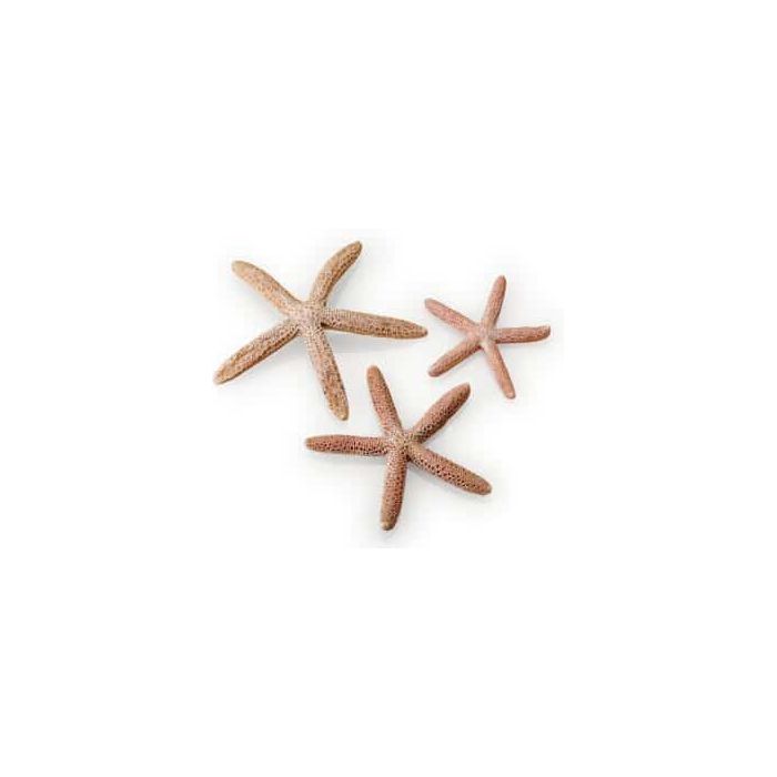 biOrb Starfish Set 3 Natural