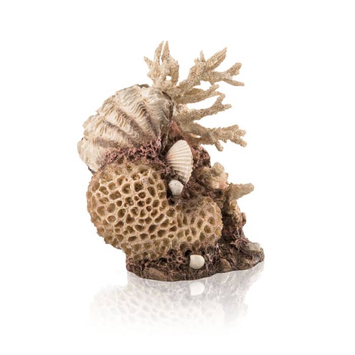 biOrb Coral-Shells Ornament Natural