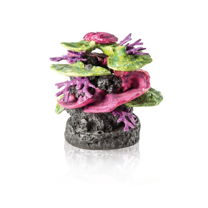 biOrb Coral Ridge Ornament Green-Purple