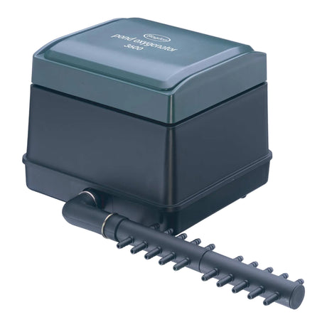https://blagdonwatergardening.co.uk/wp-content/uploads/2024/10/5bf80d7a661913.87782563.jpg