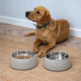 Hungry Paws Oatmeal Bowl Stainless Steel