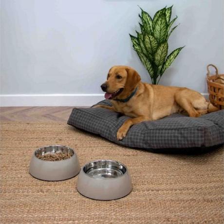 Hungry Paws Oatmeal Bowl Stainless Steel