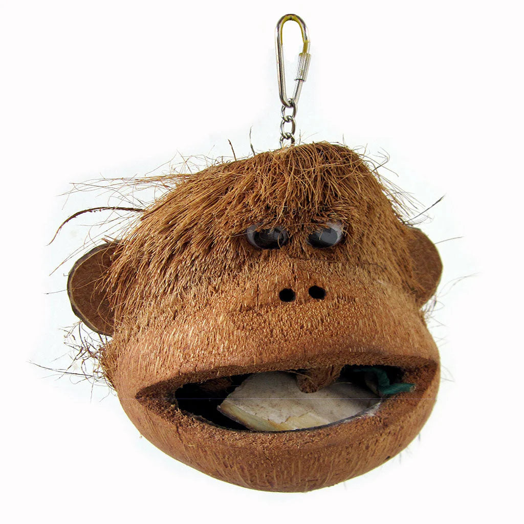 Sky Java Coco Monkey  Bird Toy