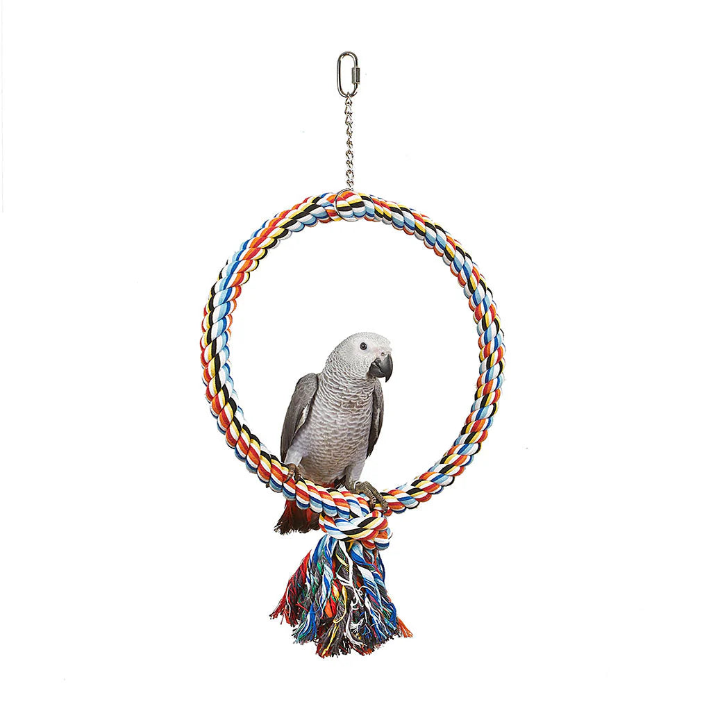 Sky Coloured Ring  Bird Toy