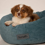 Scruffs Oslo Ring Bed in Lake Teal