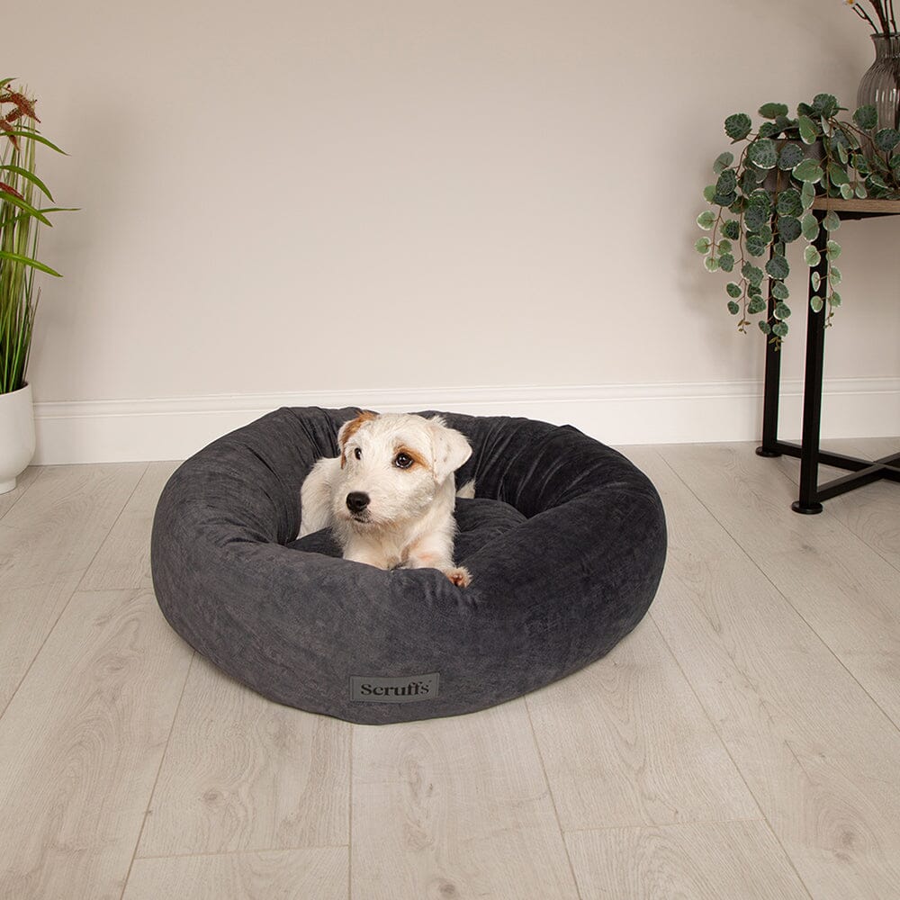 Scruffs Oslo Ring Bed in Stone Grey