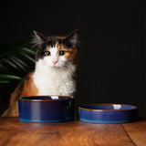 Scruffs Reactive Glaze Pet Saucer in Midnight Blue