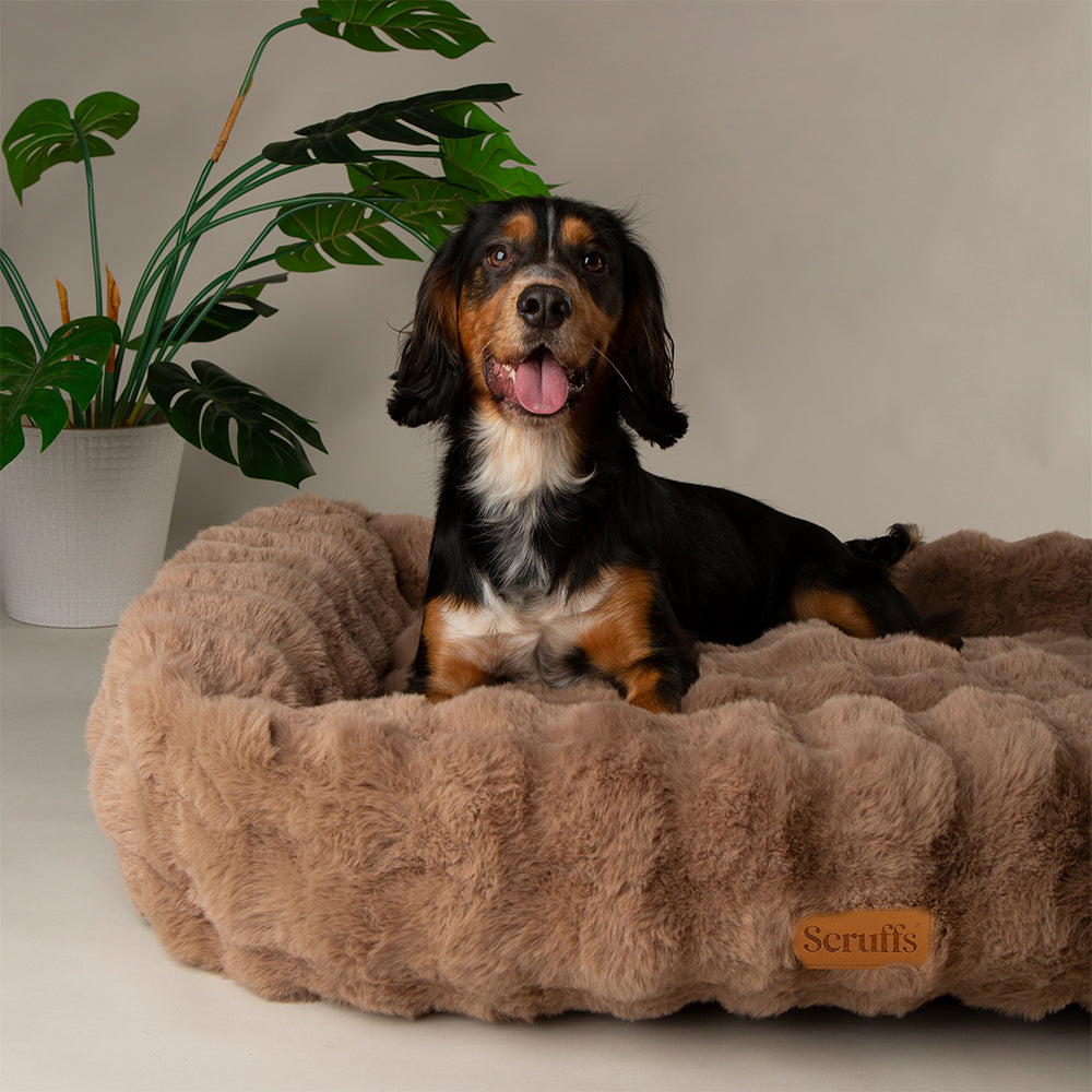 Scruffs Alpine Box Bed in Taupe