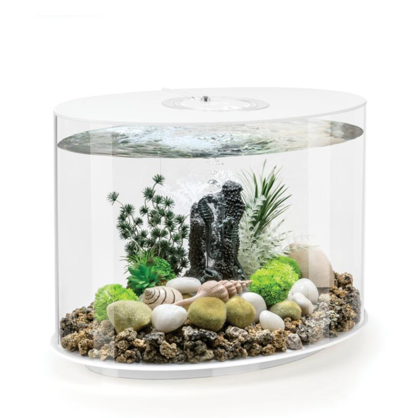biOrb LOOP 30 Litre MCR Aquarium Water World Pet & Aquatic Centre