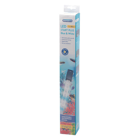 Interpet LED Start Plus Light Blue / White