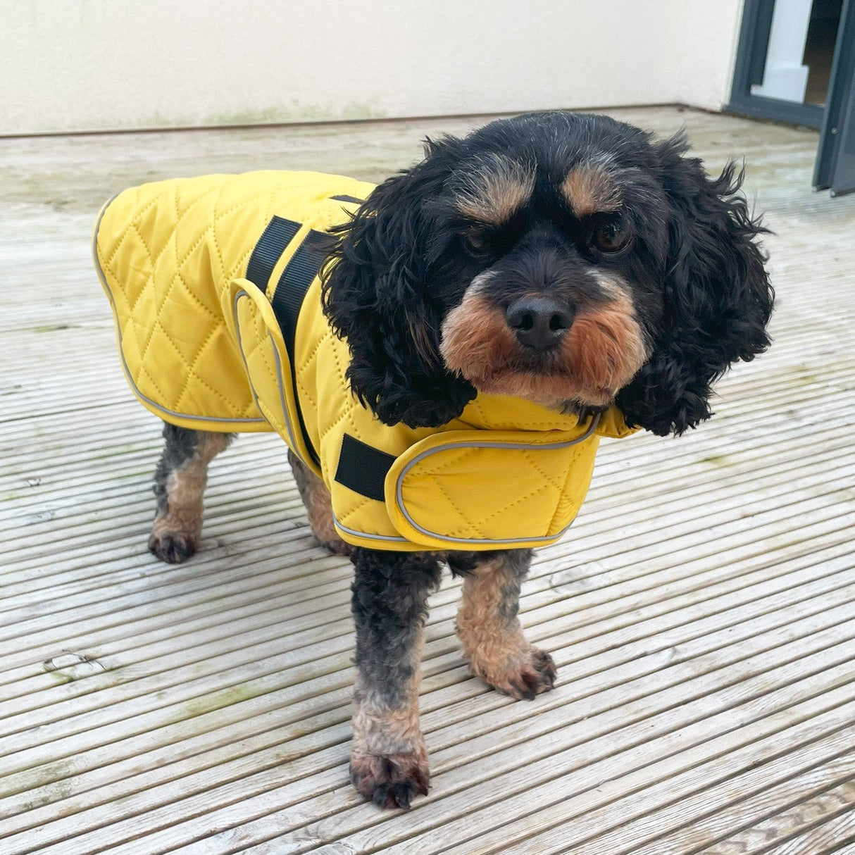 Go Walk Quilted Classic Dog Coat Mustard