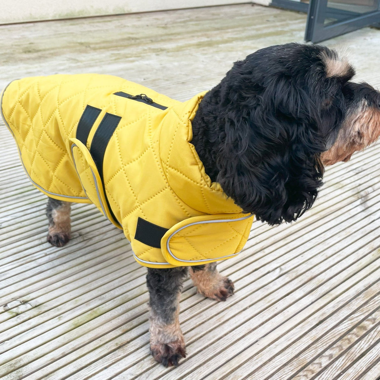 Go Walk Quilted Classic Dog Coat Mustard