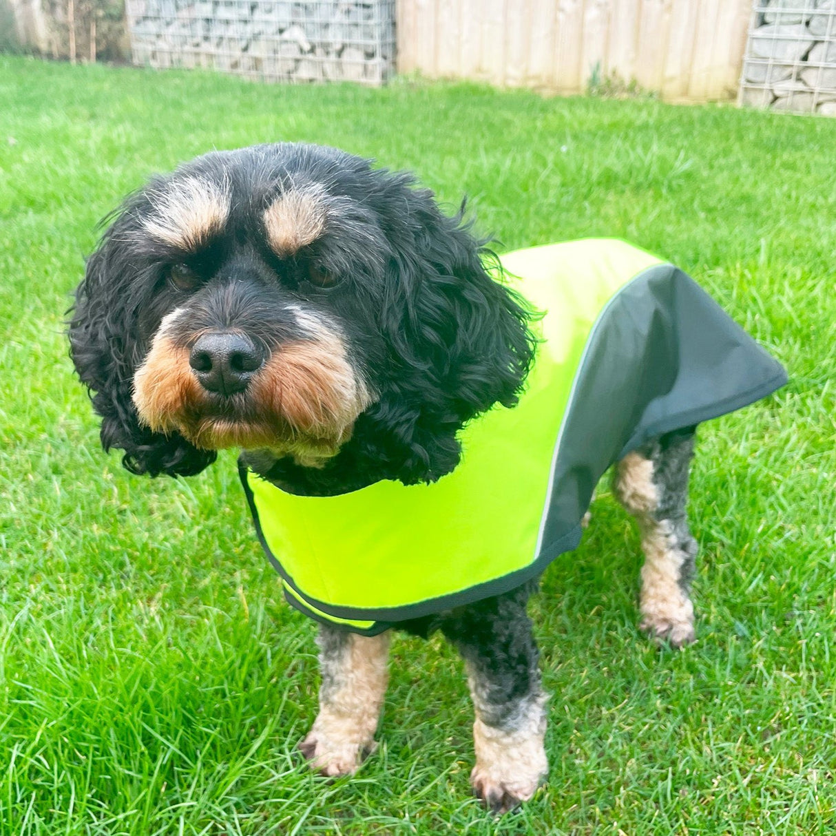 Go Walk Hi-Vis Dog Jacket