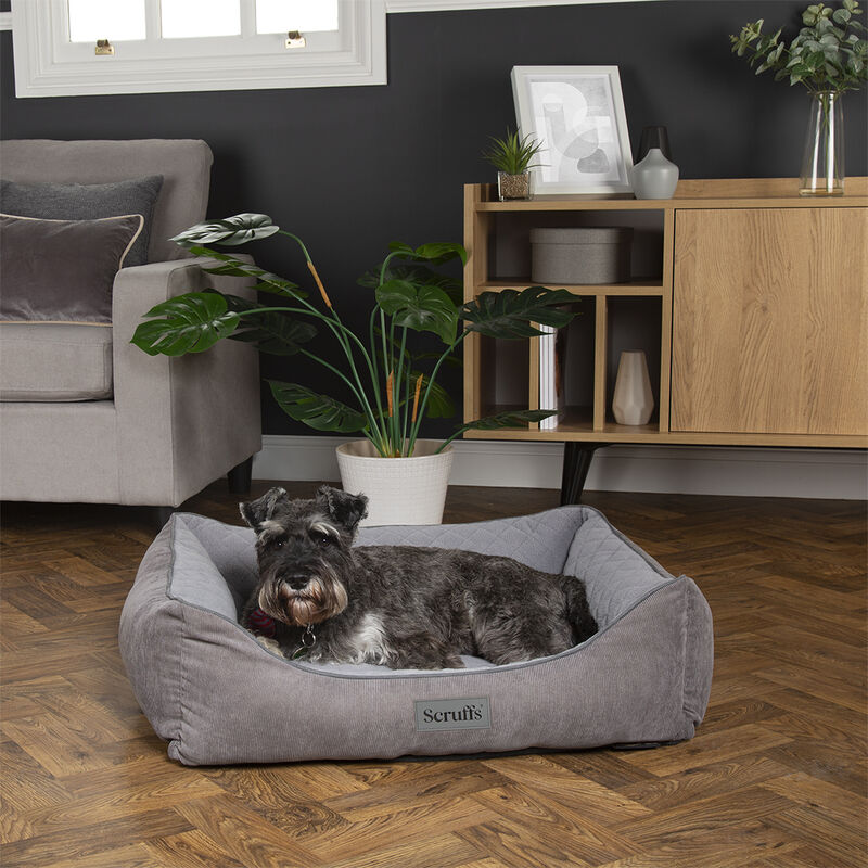 Scruffs Thermal Box Bed in Grey