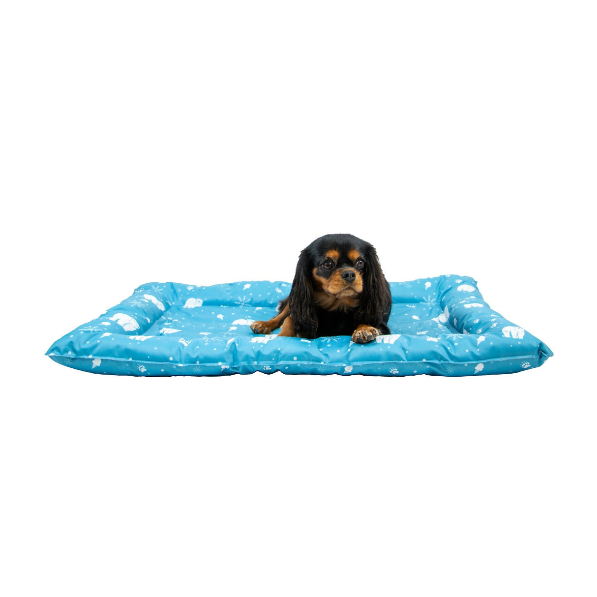 Ancol Ice Paws Cooling Bed Small 56cm X 66cm