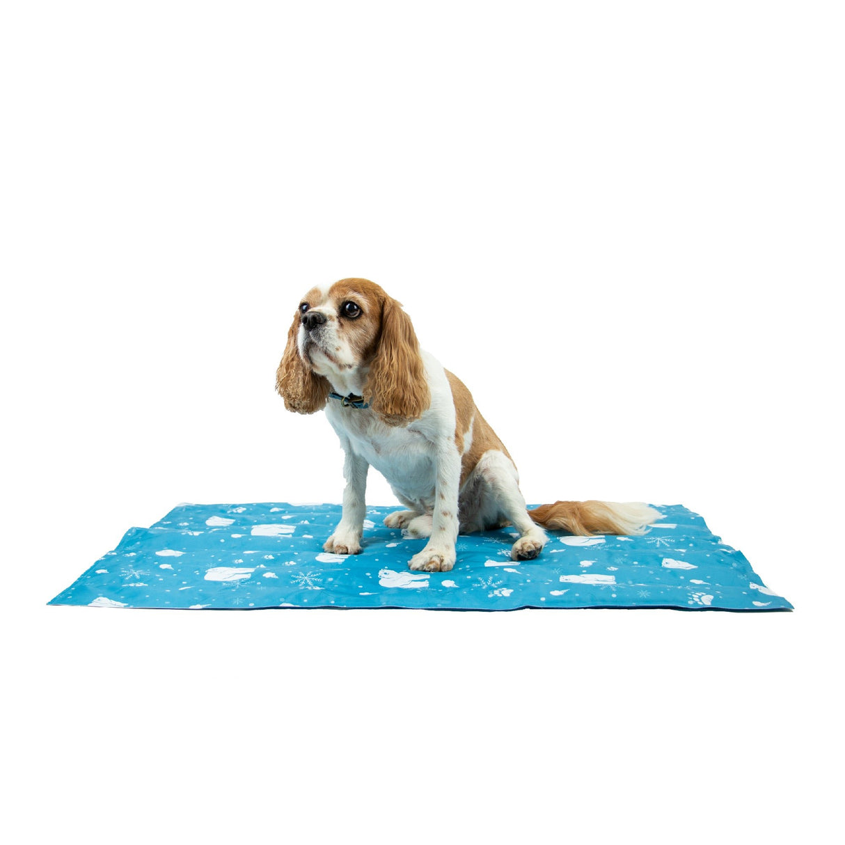 Ancol Small Cooling Mat 45x60cm