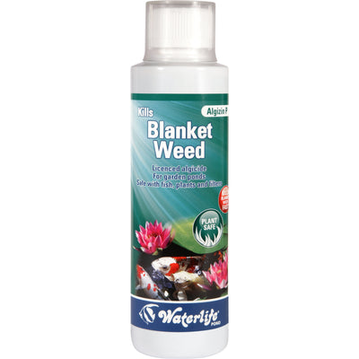 Waterlife Algazin P for Blanketweed
