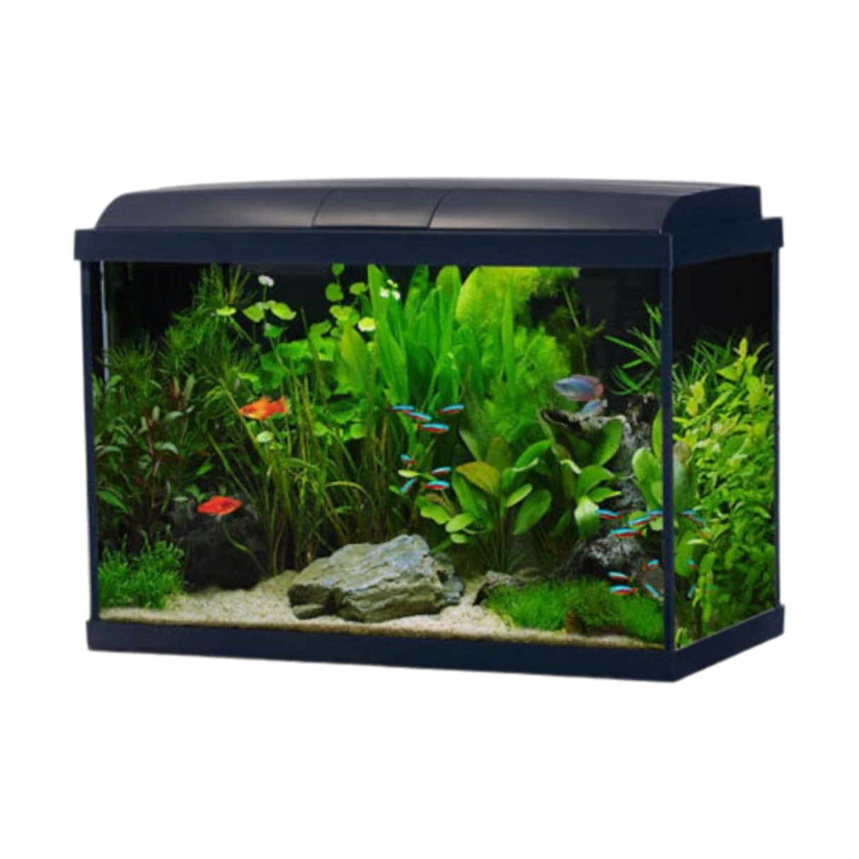 Interpet AquaVers LED 70 Litre aquarium