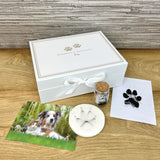 https://cdn.shopify.com/s/files/1/0589/7378/2073/files/Edit-IMG_7746.jpg?v=1696513368