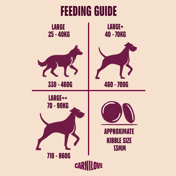 Carnilove Active Salmon & Turkey Dog Food for Large Breeds