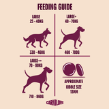 Carnilove Active Salmon & Turkey Dog Food for Large Breeds
