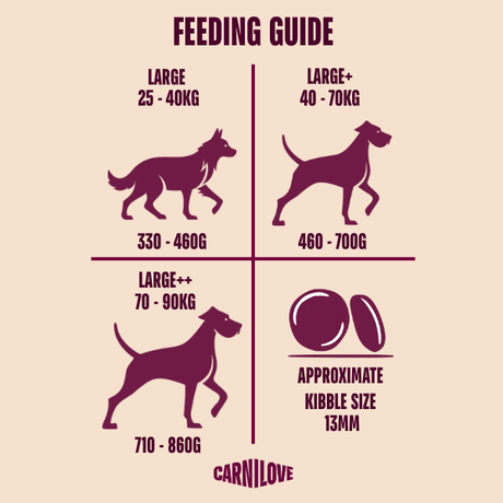 Carnilove Active Salmon & Turkey Dog Food for Large Breeds