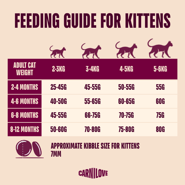 Carnilove Kitten Salmon & Turkey Cat Food