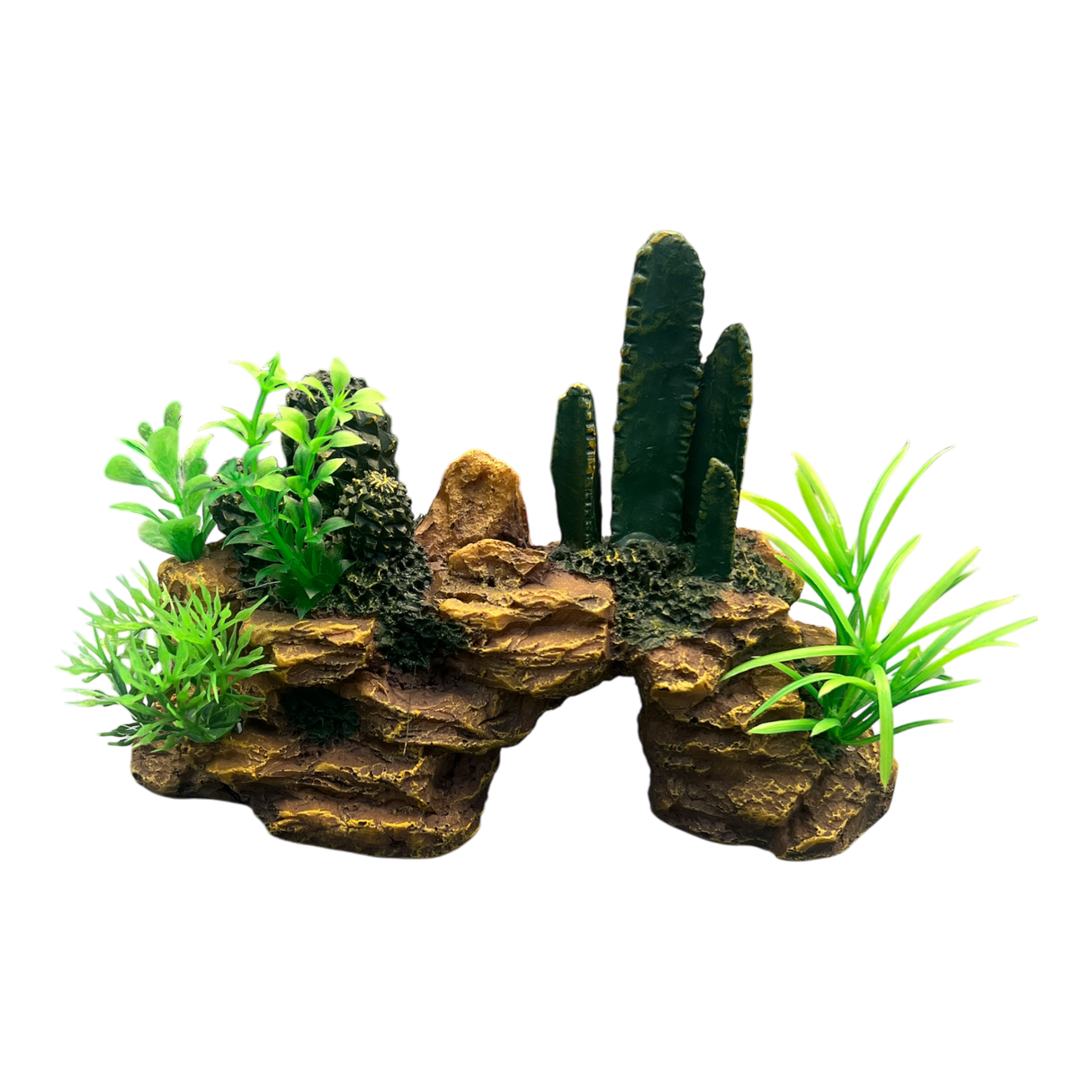 AquaTrio Desert Arch