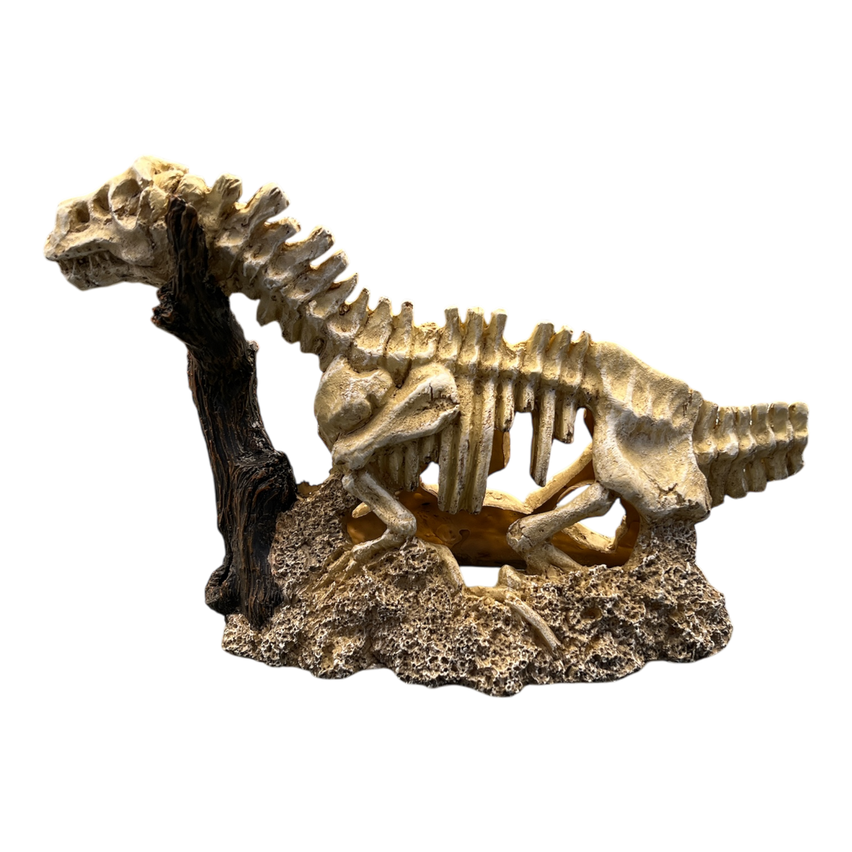 AquaTrio Dinosaur Skeleton