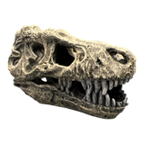 AquaTrio Dinosaur Skull