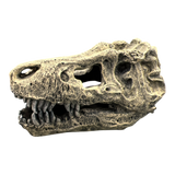 AquaTrio Dinosaur Skull