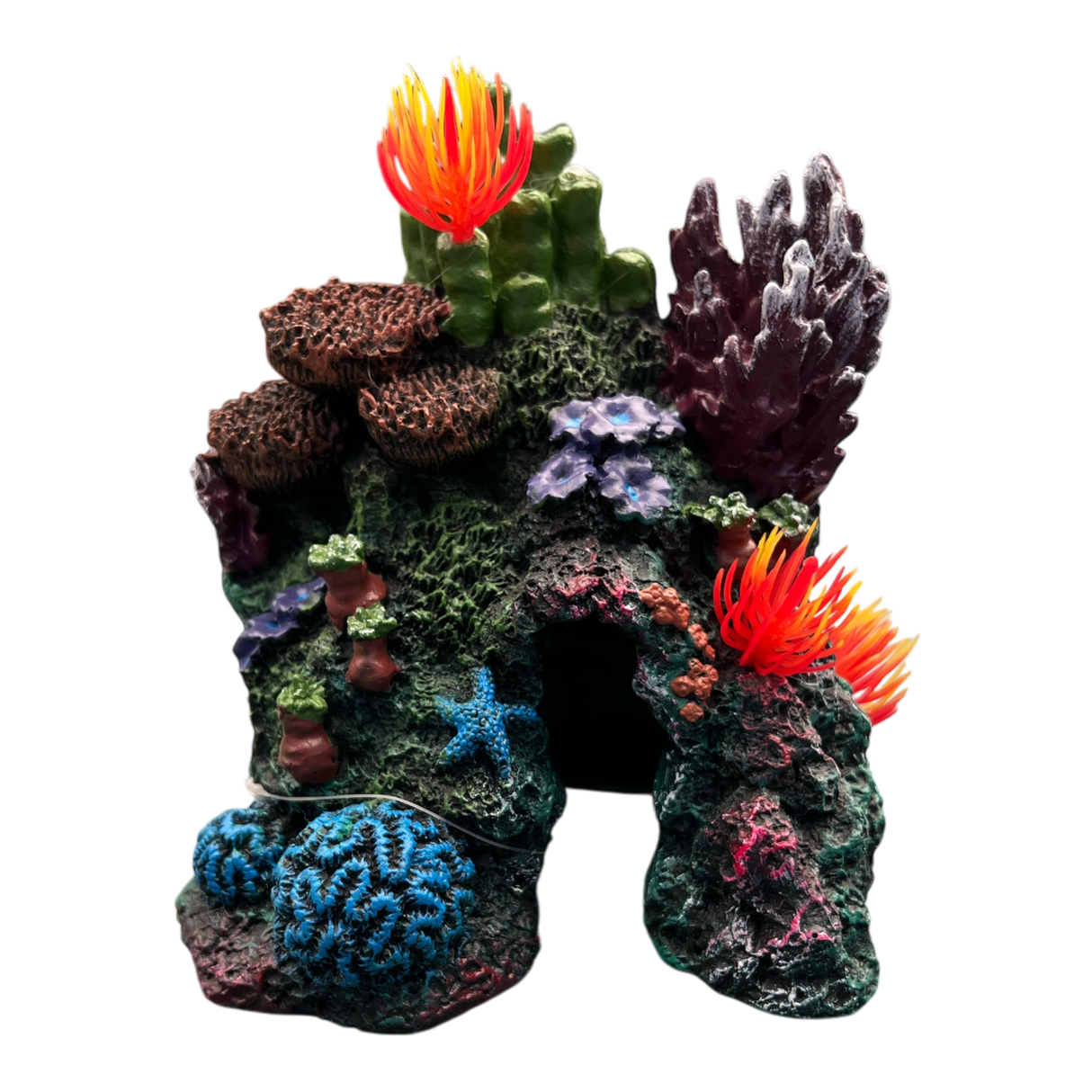 AquaTrio Coral Reef